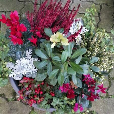 Zusammenstellung von mehreren Blumen und Pflanzen.