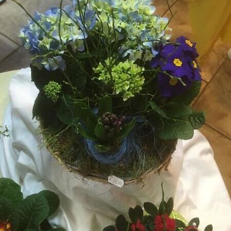 Blumen Konstellation mit lila und blauen Blumen.