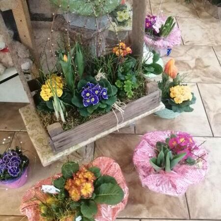 Bepflanzungen für Gärten, Terrassen und Innenräume