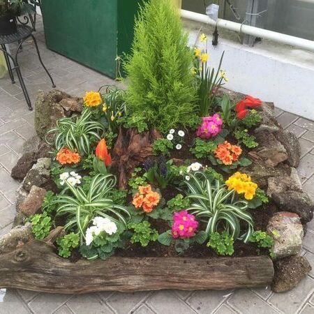Mehrere Blumen und Pflanzen die in einem Holzbeet gepflanzt wurden.