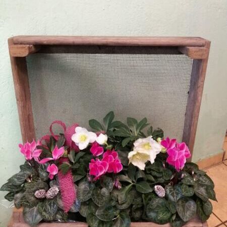 Rosa und weiße Blumen in einer dekorativen Box.