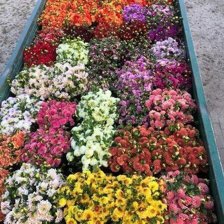 Ein Anhänger mit vielen verschiedenen Blumenarten.