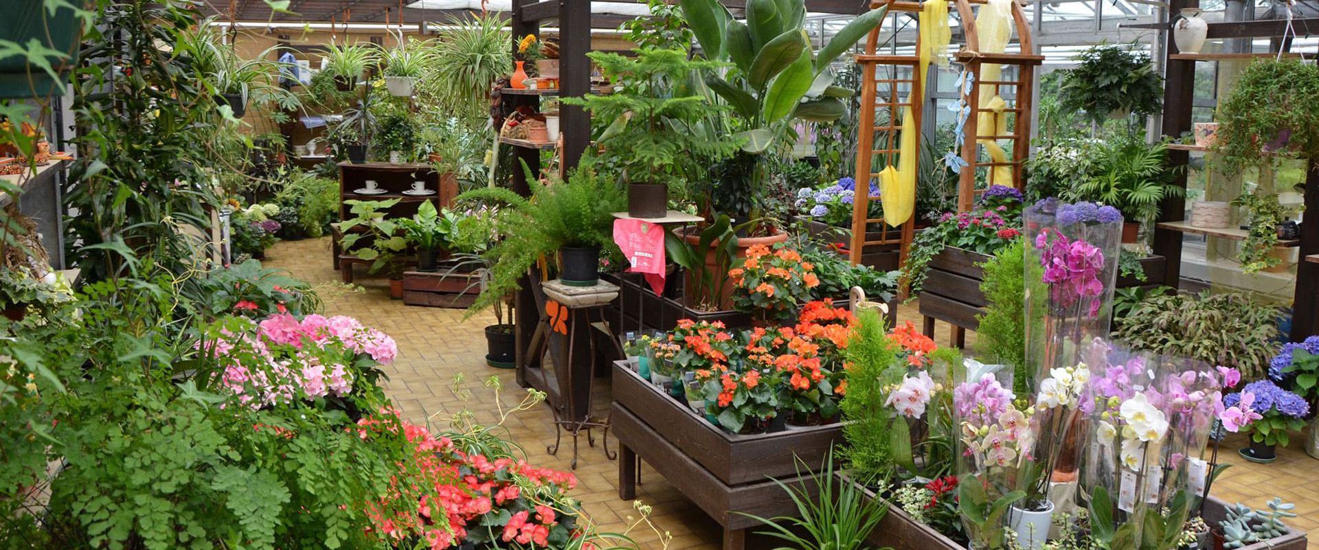 Ein großer Raum mit vielen verschiedenen Blumen - und Pflanzenarten.