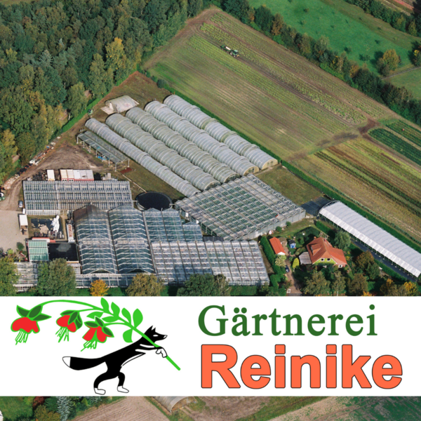 Unternehmen von Oben mit Logo.